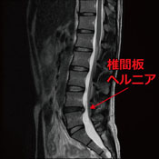 radiology06